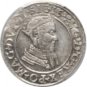 Sigismund II Augustus, quadrangle 1568, Vilnius, variant LI/LITVA