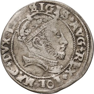 Sigismund II Augustus, penny 1546, Vilnius