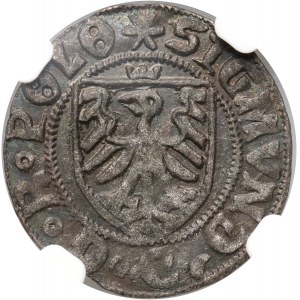 Zygmunt I the Old, 1525 shekel, Gdansk, Poland