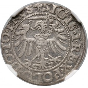 Sigismund I the Old, penny 1538, Elbląg