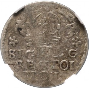 Sigismund III Vasa, 1623 penny, Cracow, with Pilawa coat of arms