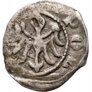 Kazimierz III Wielki 1333-1370, denar, Kraków