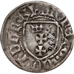 Kazimierz IV Jagiellończyk 1446-1492, szeląg, Gdańsk, bez korony nad tarczą z orłem