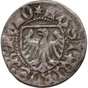 Kazimierz IV Jagiellończyk 1446-1492, szeląg, Gdańsk, bez korony nad tarczą z orłem