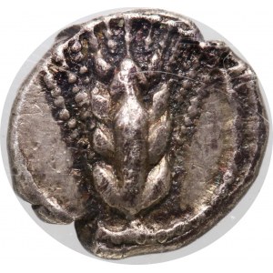 Grecja, Lukania, Metapontum, obol ok. 440-430 p.n.e.