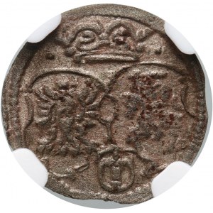 Sigismund III Vasa, denarius 1619, Cracow.