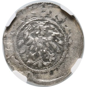 Ladislaus Jagiello 1386-1434, half-penny, Wschowa, Ref. F‡