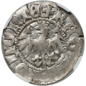 Władysław Jagiełło 1386-1434, half-penny, Kraków, no signatures