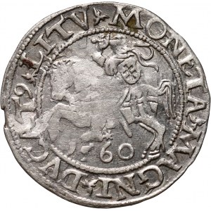 Zygmunt II August, półgrosz 1560, Wilno, rozeta w legendzie