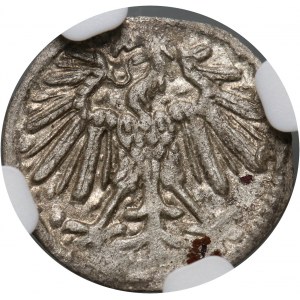 Sigismund II Augustus, denarius 1557, Vilnius
