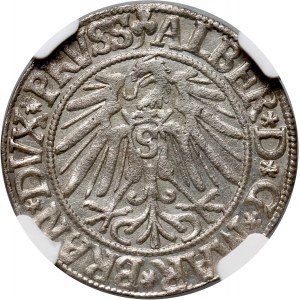 Ducal Prussia, Albert Hohenzollern, penny 1543, Königsberg