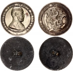 Germany - Empire Medal Electrical State Industry and Forestry Exhibition in Steyr 1884 Uniface Trial Strike