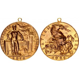 Germany - Weimar Republic Medal Bayern Werk - Walchensee Kraft 1924