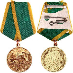 Russia - USSR Medal for the Development of Virgin Lands 1956