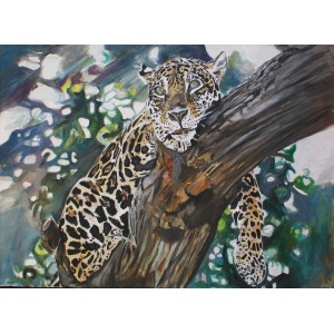 Ilona Foryś, Jaguar, 2017