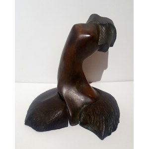 Antoni Janusz Pastwa (1944 ), Venus I