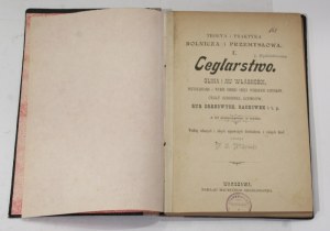 F. Wilkoński Ceglarstwo glina i jej właściwości [1892, I wydanie, ceramika]