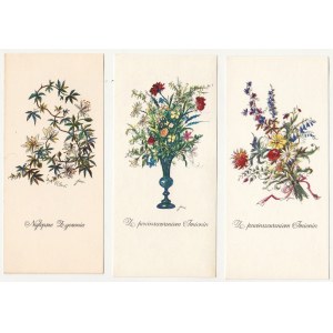Jan Marcin Szancer set of 6 occasional postcards [flowers, postcard].