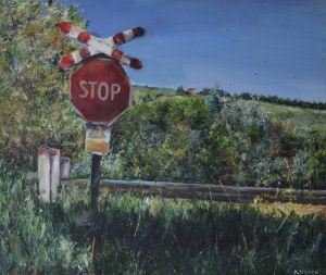 Anna Weronika Stępień (ur. 1995), Stop, 2015