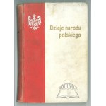 DZIEJE narodu polskiego od najdawniejszych czasów aż do ostatniego rozbioru.