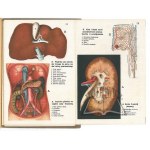 MAŁY atlas anatomiczny.