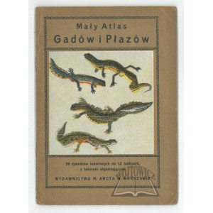 MAŁY atlas gadów i płazów.