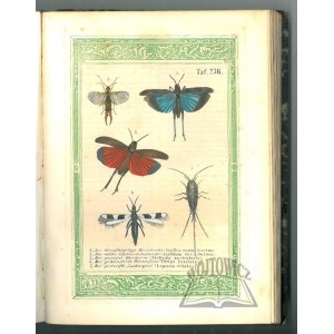 REICHENBACH Anton Benedikt, Neueste Volks-Naturgeschichte des Thierreichs für Schule und Haus.