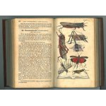 SCHILLING Samuel, Ausführliche Naturgeschichte des Fische und der wirbellosen Thiere.