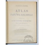 WILKOMM Maurycy, Atlas państwa roślinnego