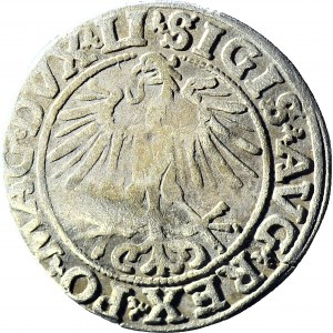 Zygmunt II August, Półgrosz 1551, Wilno