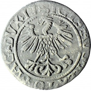 Zygmunt II August, Półgrosz 1561, Wilno LI/LITVA