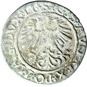 Zygmunt II August, Półgrosz 1561, Wilno, LI/LITV