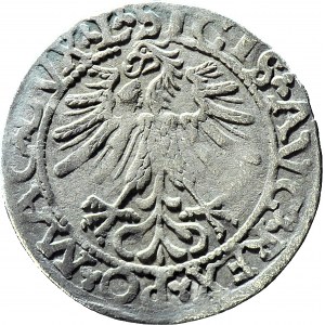 Zygmunt II August, Półgrosz 1562, Wilno L/LITVA