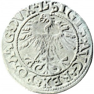 Zygmunt II August, Półgrosz 1562, Wilno L/LITV