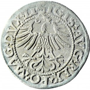 Zygmunt II August, Półgrosz 1562, Wilno LI/LITV