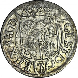 Zygmunt III Waza, Półtorak 1618, Bydgoszcz, tarcza ozdobna