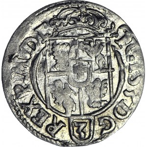 Zygmunt III Waza, Półtorak 1623, Bydgoszcz