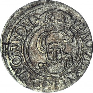 Zygmunt III Waza, Szeląg 1625, Wilno