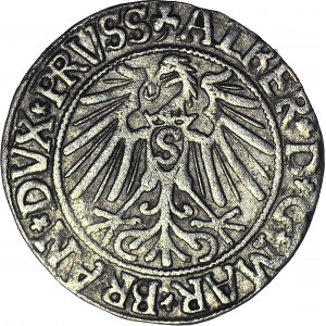 Lenne Prusy Książęce, Albrecht Hohenzollern, Grosz 1543, Królewiec