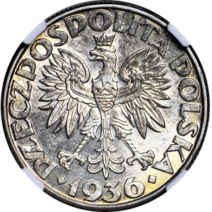 2 złote 1936 Żaglowiec, menniczy