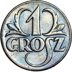 1 grosz 1923 , okołomennicze