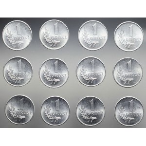 Zestaw dwunastu monet 1 grosz 1949, mennicze