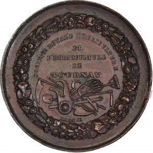 Belgia, Leopold II Roi, medal rolniczy, brąz 46mm