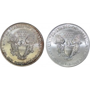 Stany Zjednoczone Ameryki (USA), 2 sztuki 1 dolar Orzeł, 2010 i 2013