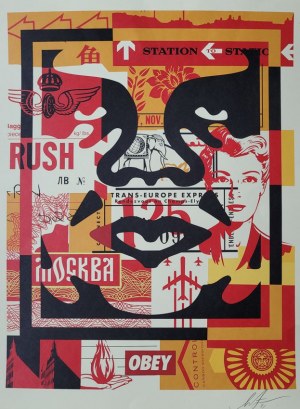 Shepard Fairey (