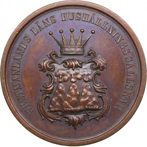 Sweden award medal