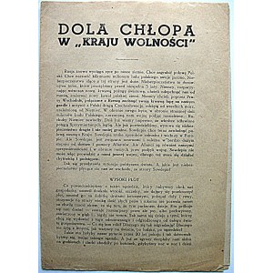 DOLA CHŁOPA W „KRAJU WOLNOŚCI”. [W-wa 1944. Wyd. Departamentu Informacji Delegatury Rządu RP Na Kraj...