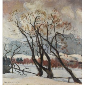 Zofia DZIURZYŃSKA-ROSIŃSKA (1901-1979), Drzewa - Pejzaż zimowy, 1930