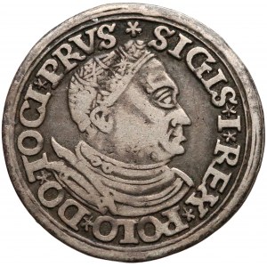 Zygmunt I Stary, Trojak Toruń 1534 - szeroki portret