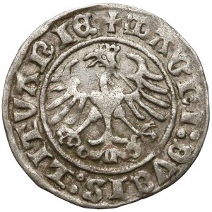 Zygmunt I Stary, Półgrosz Wilno 1511